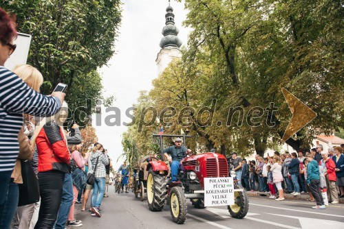 Lendavska trgatev 2017