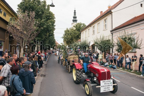 Lendavska trgatev 2017