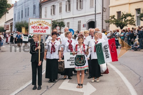 Lendavska trgatev 2017