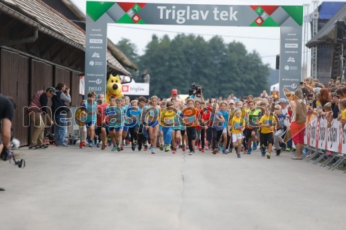 Triglav tek 2017