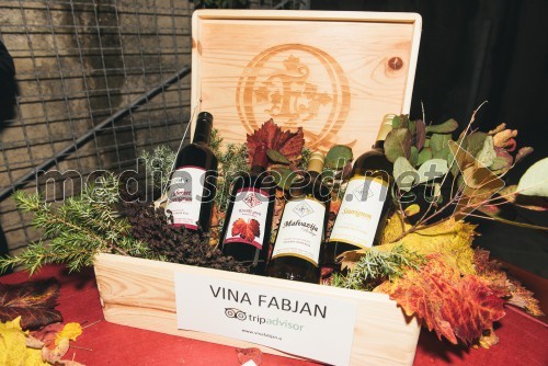 Vina Fabjan