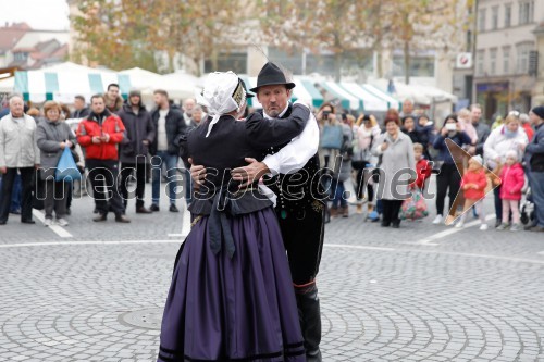 Ljubljanska vinska pot