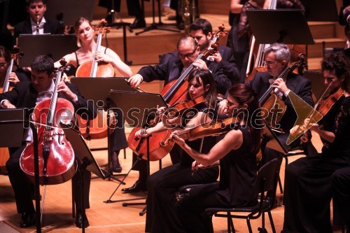 Koncert Španskega nacionalnega orkestra