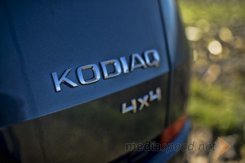 Škoda Kodiaq 2.0 TDI Greentech 190 KM 4x4 Style