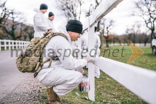 Ameriška vojska barva ograje