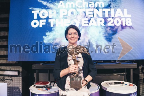 AmCham Top Potential of the Year 2018