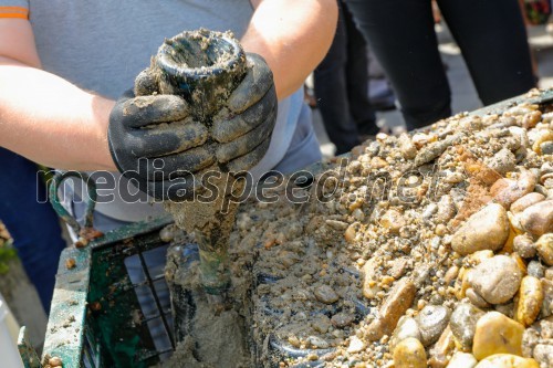 Dan odprtih kleti 2018, Radgonske Gorice