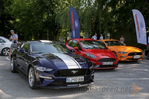 Ford Mustang, Ford Fiesta