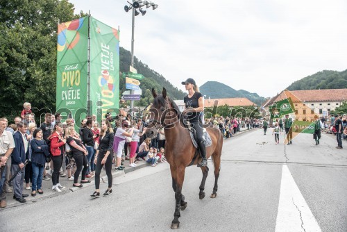 Pivo in cvetje Laško 2018