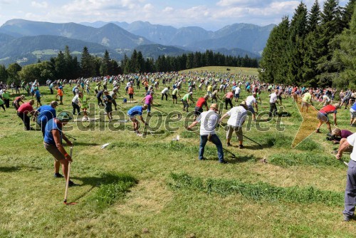 Podiranje Guinnessovega rekorda v košnji