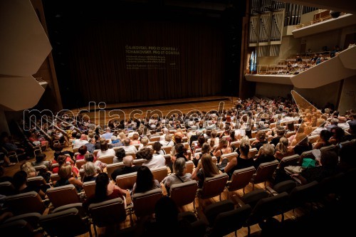 Festival Ljubljana 2018: Balet Čajkovski. PRO et CONTRA