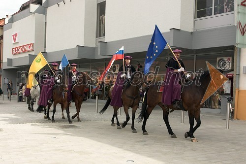 Malonedeljska konjenica