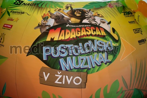 Madagascar, premiera muzikala