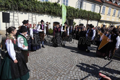 Svečana trgatev Stare trte 2018