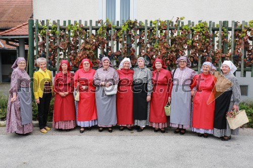 Ferencovo senje, občina Turnišče