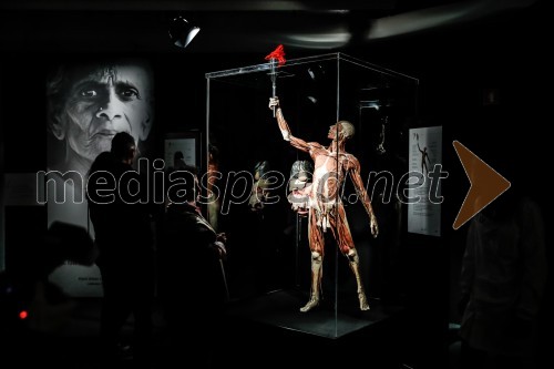 Otvoritev razstave Body Worlds Vital