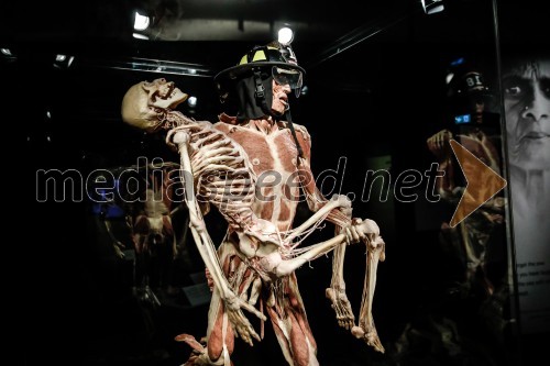 Otvoritev razstave Body Worlds Vital