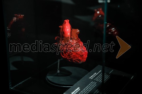 Otvoritev razstave Body Worlds Vital