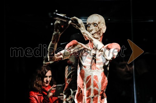 Otvoritev razstave Body Worlds Vital