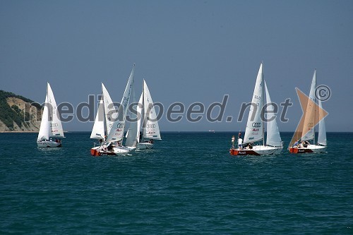 Jadralska regata Audi