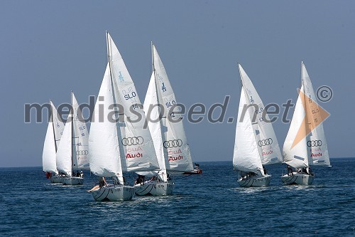 Jadralska regata Audi