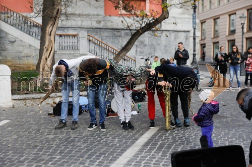 Ljubljanska vinska pot 2018