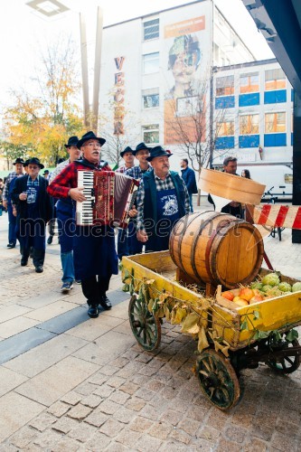 Martinovanje v Mariboru 2018