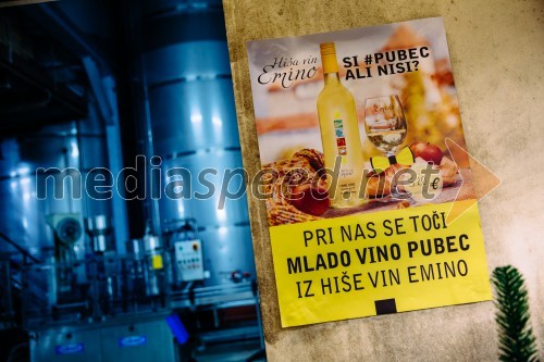 Hiša vin Emino