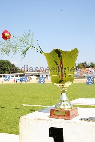 Pokal