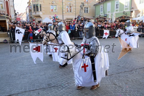 Mednarodna karnevalska povorka