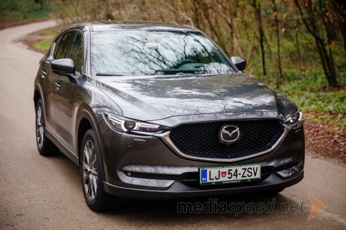 Mazda CX-5 CD 184 AT AWD Takumi Plus (KF, 2019)