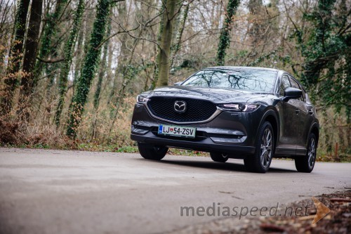 Mazda CX-5 CD 184 AT AWD Takumi Plus (KF, 2019)