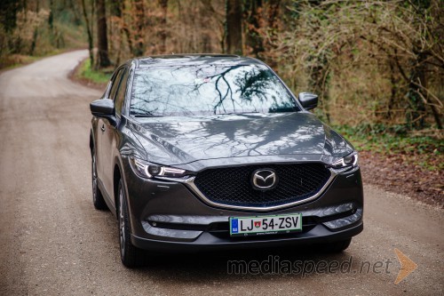 Mazda CX-5 CD 184 AT AWD Takumi Plus (KF, 2019)