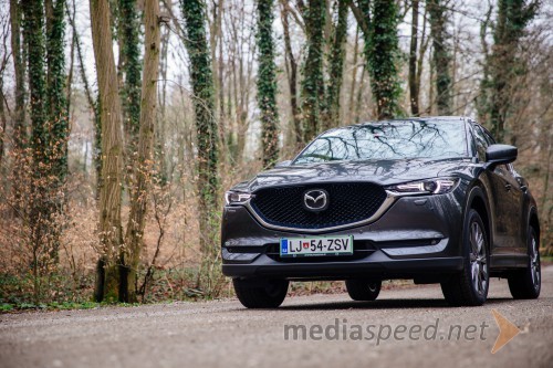 Mazda CX-5 CD 184 AT AWD Takumi Plus (KF, 2019)