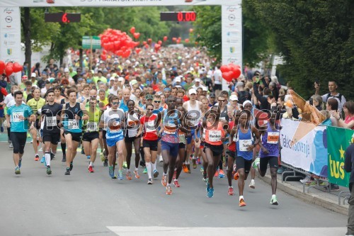 39. Maraton treh src 2019