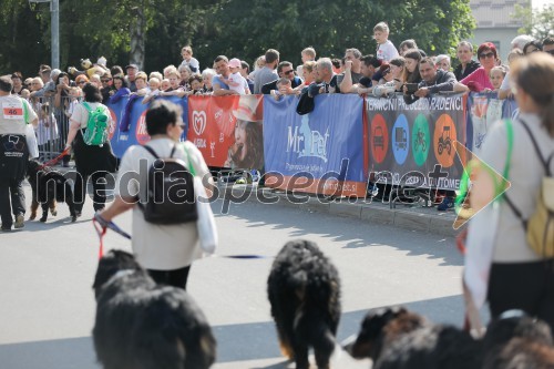 39. Maraton treh src 2019