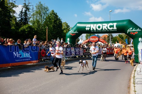 39. Maraton treh src 2019