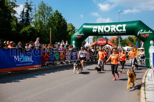 39. Maraton treh src 2019