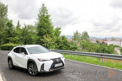 Lexus UX 2019 (ZA10)