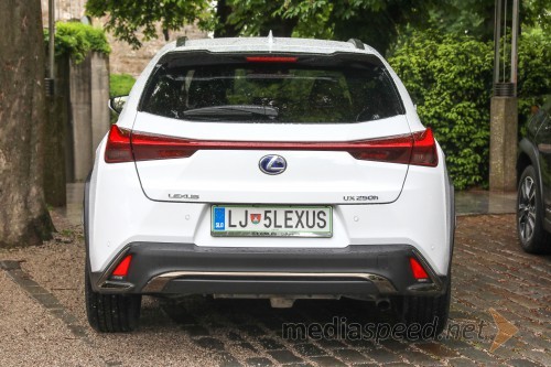 Lexus UX 2019 (ZA10)