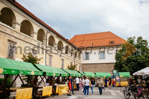 5. Dobrodelni Festival palačink