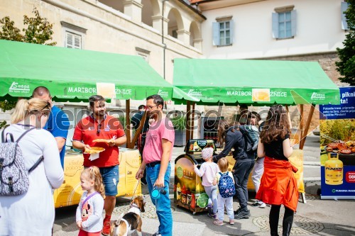 5. Dobrodelni Festival palačink