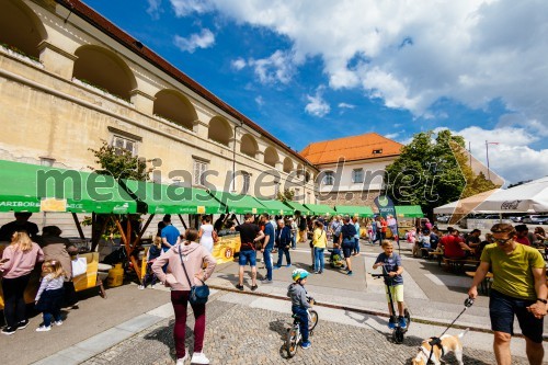 5. Dobrodelni Festival palačink