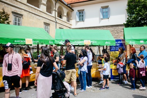 5. Dobrodelni Festival palačink