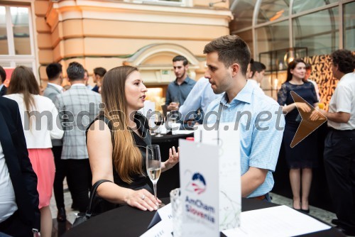 AmCham top potencial leta 2019 je Matej Gostiša