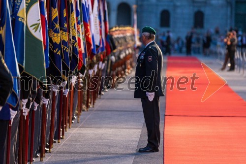 Državna proslava pred dnevom državnosti