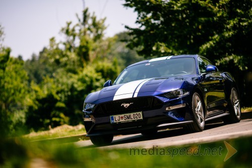 Ford Mustang V8 5.0 GT