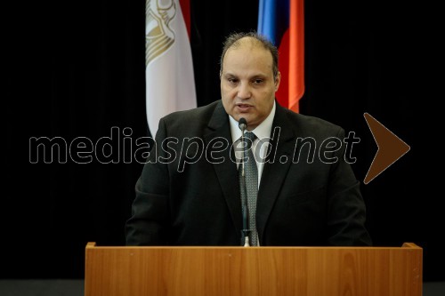 Egiptovski nacionalni dan, praznovanje in sprejem egiptovskega veleposlanika