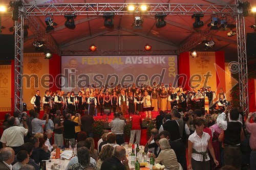 Festival Avsenikov 2008