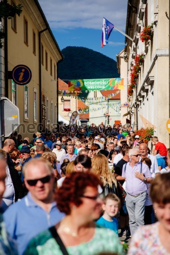 Pivo in cvetje Laško 2019, nedelja